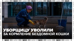 Под Калининградом уборщицу уволили после того, как она покормила кошку - Москва 24
