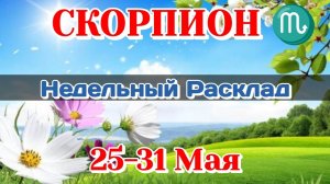 СКОРПИОН ♏Недельный расклад 25-31 МАЯ/Таро Прогноз/Сферы Жизни