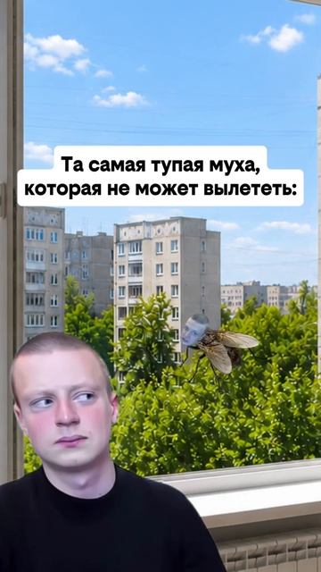 Муха