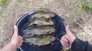 Ловля КРУПНОГО ЛИНЯ на УДОЧКУ как в СКАЗКЕ