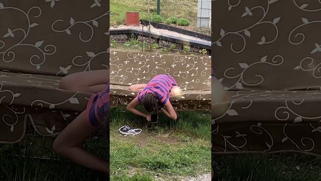 Ларингоскопия у бобра смотреть онлайн