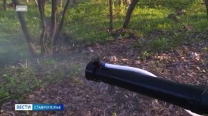 В Ставрополе борются с клещами-кровопийцами