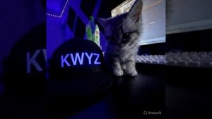 ава для квиза