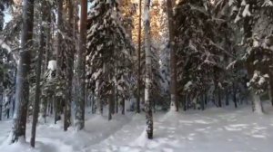 «Путь к тишине», автор Ирина Шагалина.