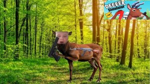 DEEEER simulator 1