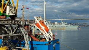 Виды Владивостока