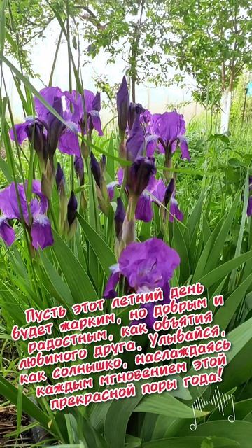 хорошего лета