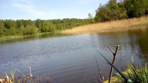 16 МАЯ ЧИЩУ ТРАВУ РЫБА НЕ КЛЮЁТ
