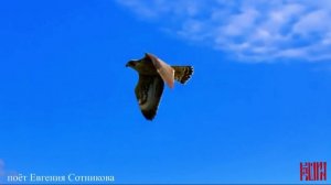 uletay_clip_06