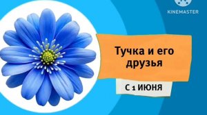 Анонс И Рекламный Блок (Карусель старый Молдова 23.05.2026)