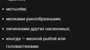 23-05-2026