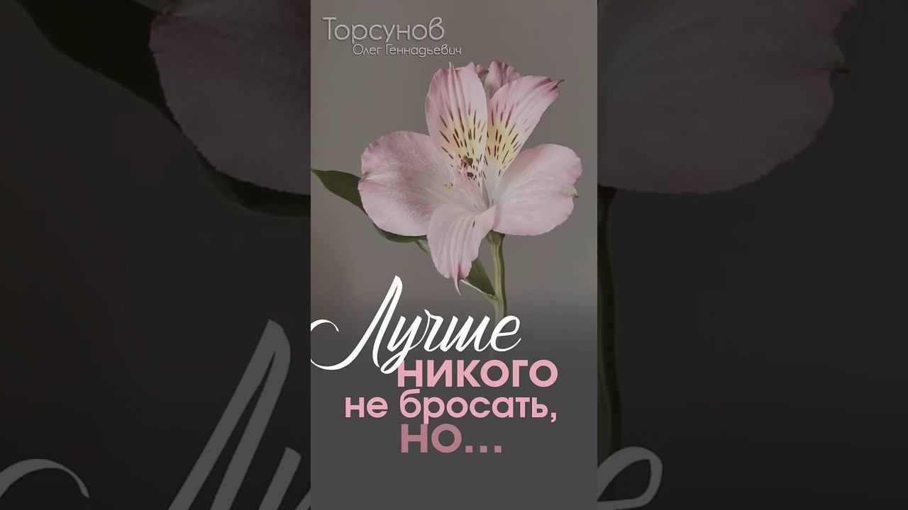 ЛУЧШЕ НИКОГО НЕ БРОСАТЬ, НО… #Торсунов смотреть онлайн