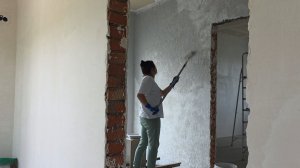 341 РЕМОНТ В ДОМЕ.  ВЕСЬ ДЕНЬ КРАШУ СТЕНЫ В ХОЛЛЕ. ПЕРЕСАДИЛА ГОЛУБИКУ.