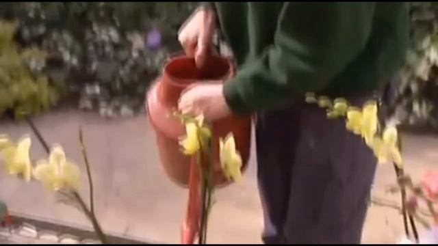 Мир садоводов. Эпизод 14.