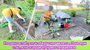 Кто рано встает, тот к обеду с ног валится. Пока муж спал, я много дел на огороде переделала.