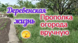 Жизнь в деревне/Огород зарос ТРАВОЙ/Ремонт в квартире СССР/Квартира преображается!