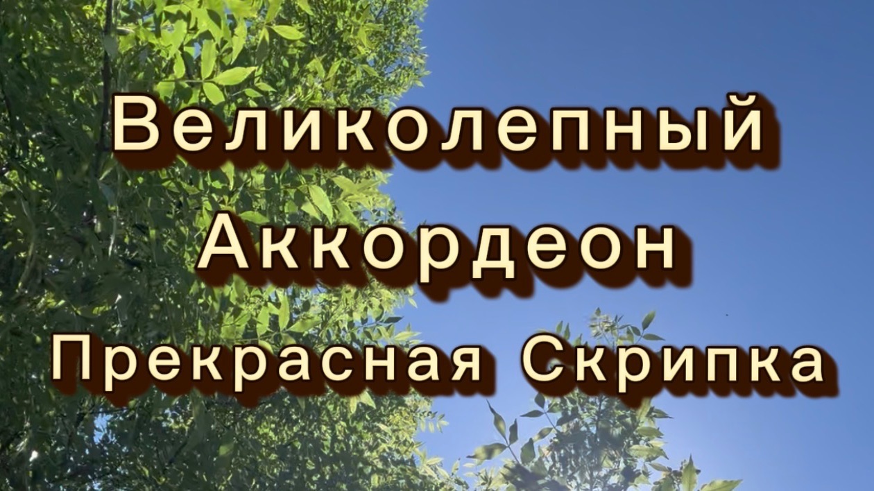Великолепный аккордеон, прекрасная скрипка, удивительно красивая музыка для души