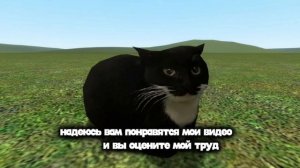 Первое видео приветствие