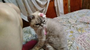 привет я тут меня эля зовут