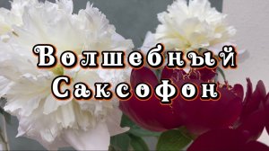 Прекрасный саксофон, удивительно красивая музыка для души