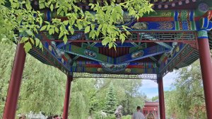 23-05-2026 Прогулка в китайском парке