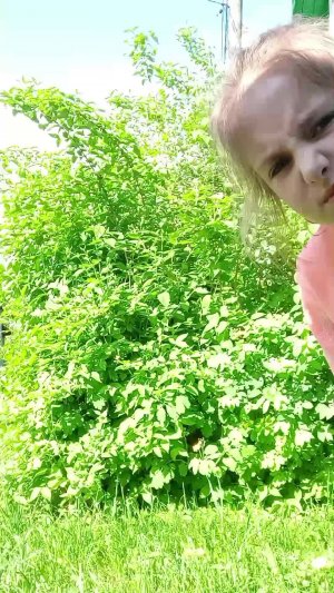 водный пистолет Я на огороде