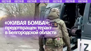 «Живая бомба»: силовики пресекли теракт со смертницей в Белгородской области