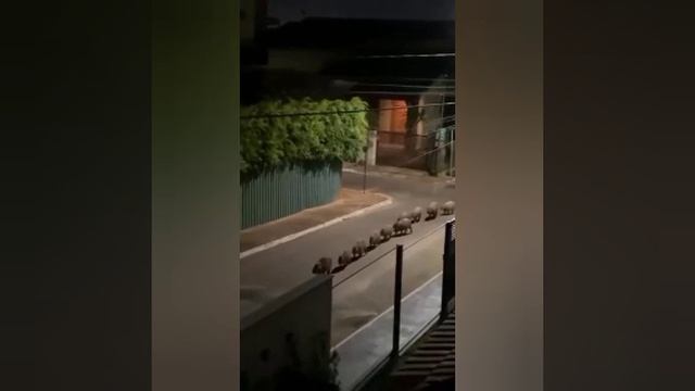 YouCut_20260522_202404213.mp4