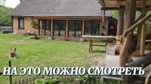 НА ЭТО МОЖНО СМОТРЕТЬ ВЕЧНО. ВАЛЕНТИНА В ЦВЕТАХ, МЫ С БАРСОМ НА ЛАВОЧКЕ.