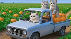 Мама-кошка собирает застрявшие в грязи тыквы, добрая панда помогает им и готовит теплый ужин 🐱🐼