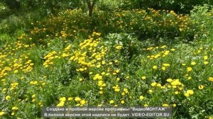 Привет всем 🥰 Гуляем по двору😁