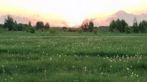 Красивый рассвет, но.... комары и мошки (23 мая)