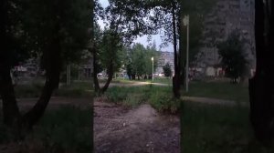 идём в кафе за шаурмой