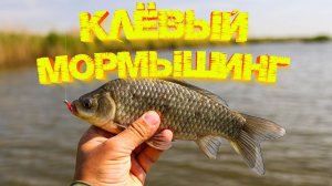 ПУЛЕМЁТНЫЙ клёв КАРАСЯ на МОРМЫШИНГ 👍 КУРИНАЯ лапка всегда ЛОВИТ 💪💪💪