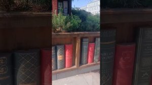Привет от Ольги Топильской 23.05.26.