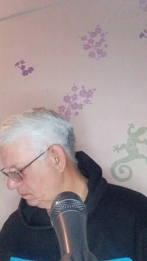 Песни под гитару