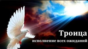 Троица исполнение всех ожиданий  /  Д. В. Самарин