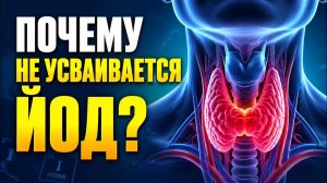 ЩИТОВИДКА будет РАБОТАТЬ КАК ЧАСЫ если...  ПОЧЕМУ нарушается работа ЩИТОВИДКИ