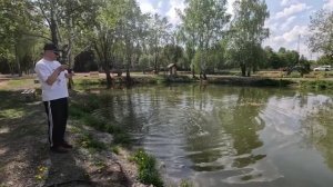 Форель на moca медленно тонущий