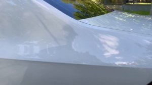 IMG_1408