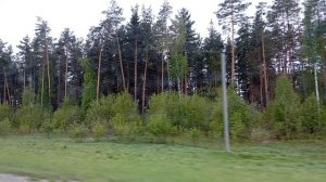Наша природа 🍄 Алтайский край 🌳🌳