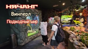 Подводный мир, Нячанг, Винперл.