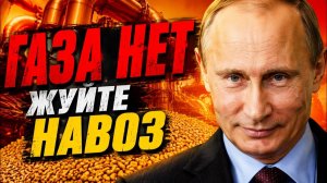 ОТ ГАЗА К НАВОЗУ! БЕЗ РОССИИ ЕДЫ НЕ БУДЕТ! ПУТИН ПРЕДУПРЕДИЛ БРЮССЕЛЬ!