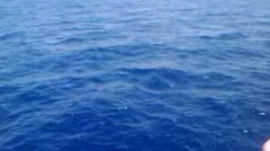 Прогулка по морю, на носу корабля