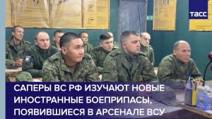 Саперы ВС РФ изучают новые иностранные боеприпасы, появившиеся в арсенале ВСУ