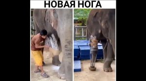 #смешныевидео -1429