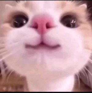 просто жду хотя бы 1 просмотра