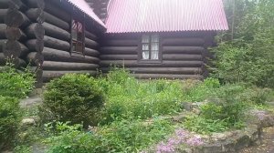Пруд лягушек. Красивая ⛪️