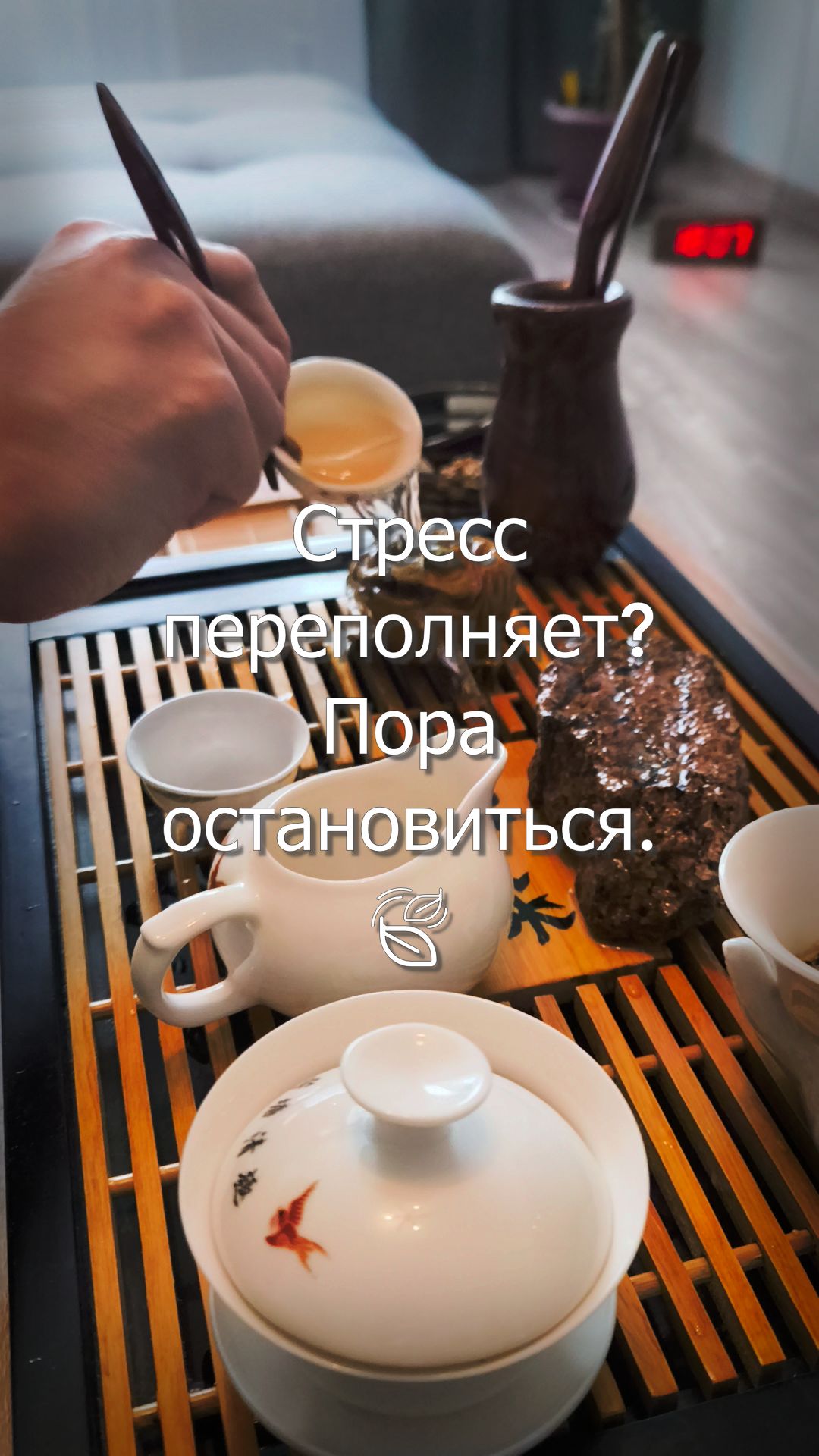 Магия дзен: эстетика чайной церемонии 🍵🌿
