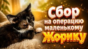 Сбор на операцию маленькому Жорику.